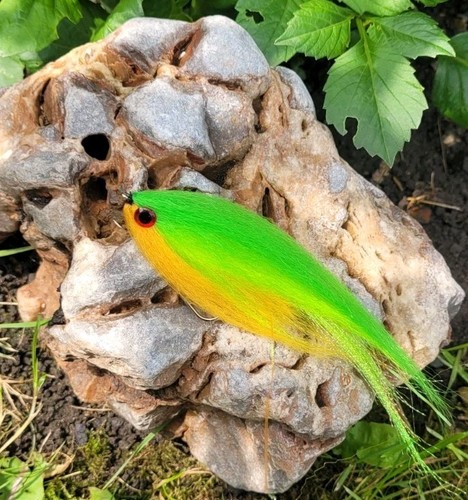 Pike fly fishing - fly,