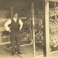 Japanese Silk Worm Farm