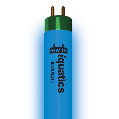 Iquatics juwel compatible - iquatics,