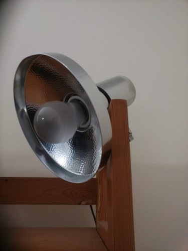 Individual chrome - x,