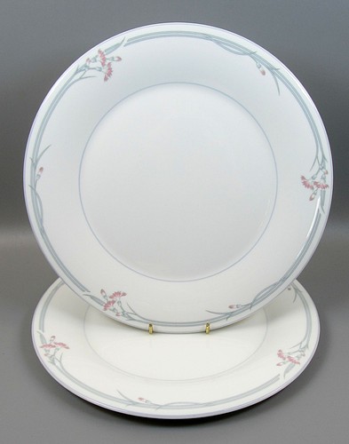 Royal doulton carnation - x,