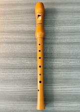 Vintage Hohner Konzert