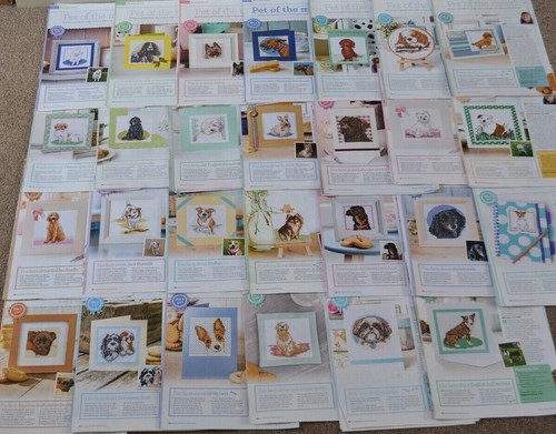 Pet the month selection - pet, of