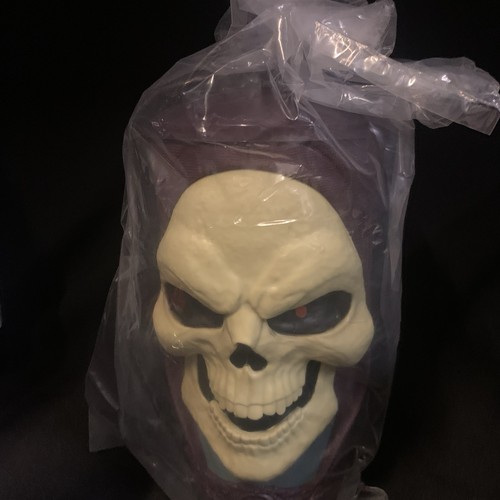 Man skeletor masters the - skeletor, of