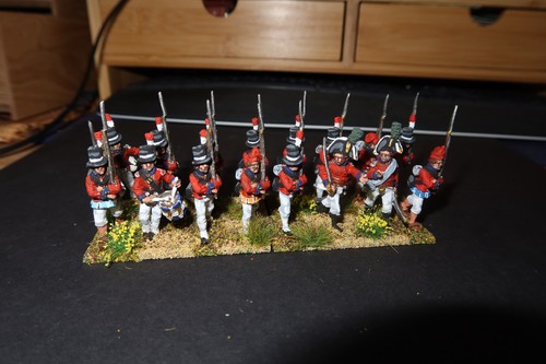 Perry 28mm pro painted - perry,