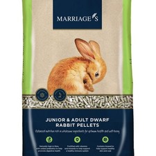 Marriages Junior & Adult Dwarf