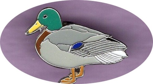 Rspb pin badges want the - rspb,