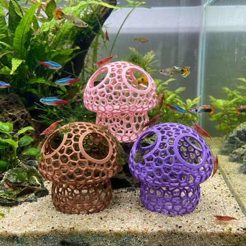 Fish shrimp hideout shelter - shrimp,