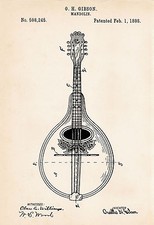 1898 Gibson Mandolin Drawing