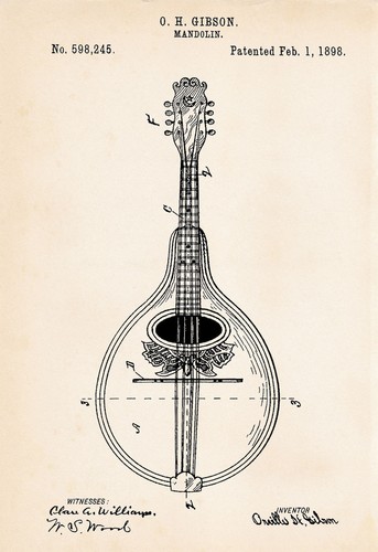 1898 gibson mandolin - 1898,