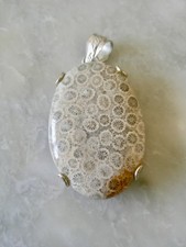Fossil coral beige pendant set - coral,