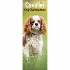 Otter House Cavalier King Charles Spaniel Slim Calendar Month to View 2026