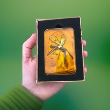 Jurassic Park Amber Ignot Hammond’s Cane Mosquito 0028 / 5000 Limited Edition