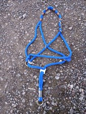 Blue Monty Roberts Be Nice