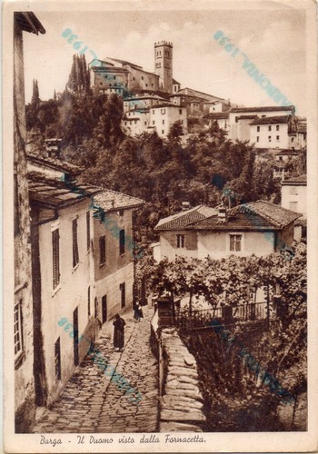 Barga catomo seen - catomo, the