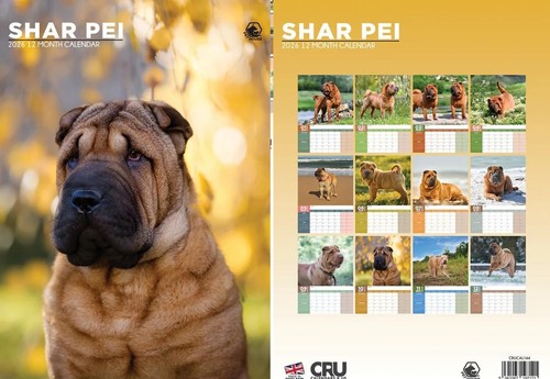 Shar pei 2026 calendar a3 - shar,