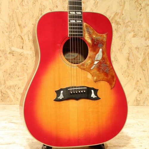 Gibson dove custom 1981 - gibson,