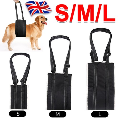 Pet dog mobility aids support - dog,