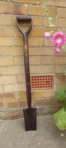 Vintage spade bulldog - vintage,