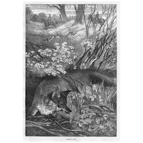 Victorian fox hunting scene - victorian,