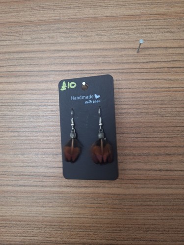 Taxidermy pheasant earrings - taxidermy,