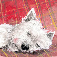 Alex Clark Greetings Card - Tartan Rug - Westie Dog