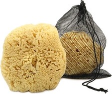 Real sea Sponge for Men -