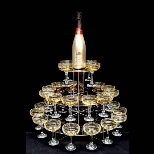 Bespoke champagne and coupe - champagne,