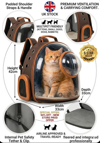 Astronaut window dog - astronaut,