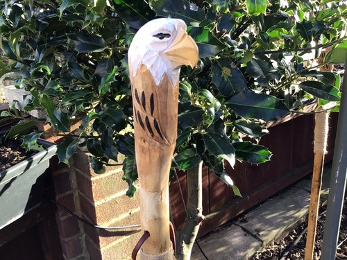 Wooden hiking walking stick - wooden,