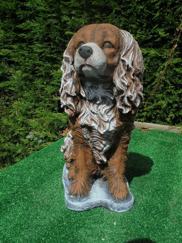 Spaniel concrete garden