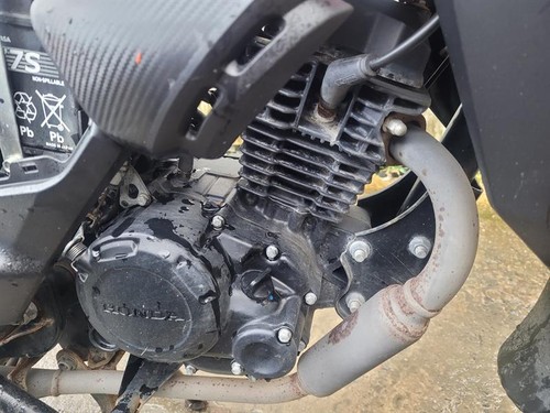 2024 honda cbf - 2024,