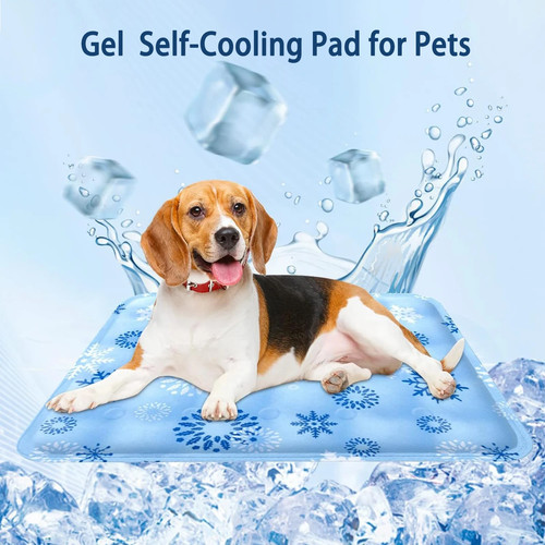 Dog cooling mat - dog,