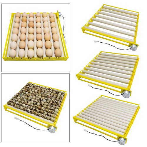 Eggs incubator 12v fully - eggs,