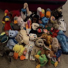 TY Beanie Babies Bundle x 36