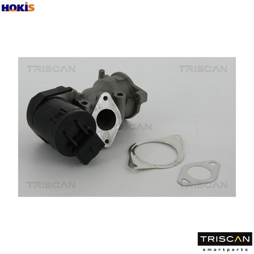 Egr valve 8813 10001 - 8813, for
