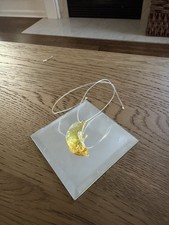 Swarovski Crystal Crescent