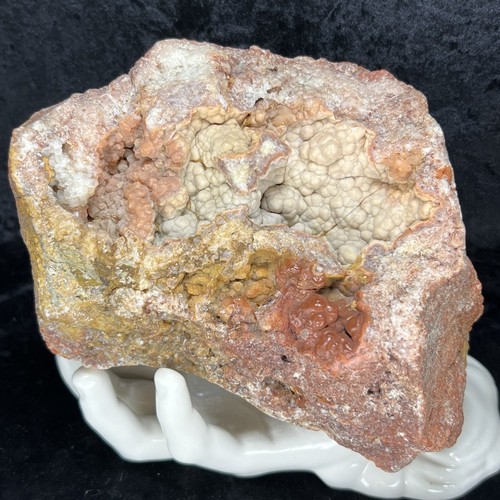 Fossilized botryoidal - 7”,