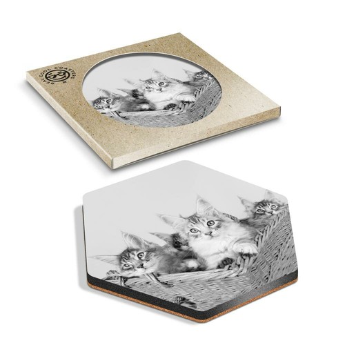 Hexagon coaster bw - 1,