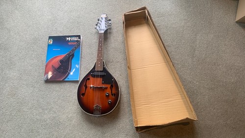 Mandolin musical - mandolin, in