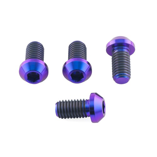 Titanium disc bolts purple - titanium,