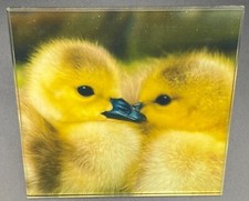 Glass Coaster– Adorable