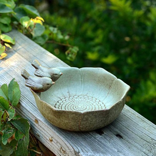 Bird bath feeder - bath,