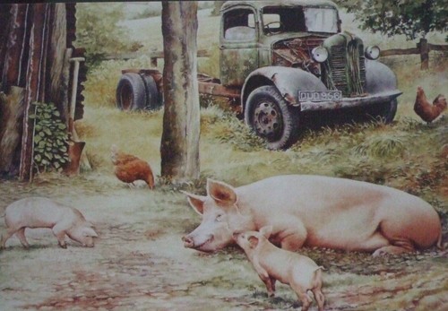 Pigs and old lorry farm - and,