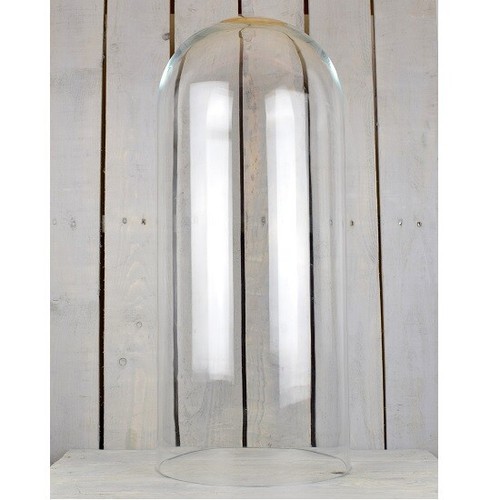 Glass dome display - glass,