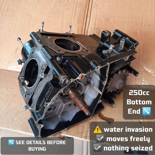 Hyosung gv250 gt250r engine - gt,
