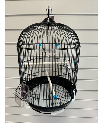 Round bird cage parakeet - bird,