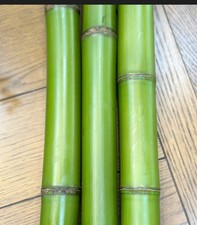  2" Green Bamboo poles 6ft