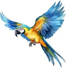 Flying Tropical Macaw Parrot