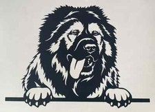 1x Caucasian Dog Decal Vinyl